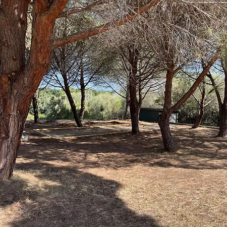 Climatise Avec Piscine Et Parking A Saint-florent - Fr-1-650-43 Saint-Florent (Corsica)